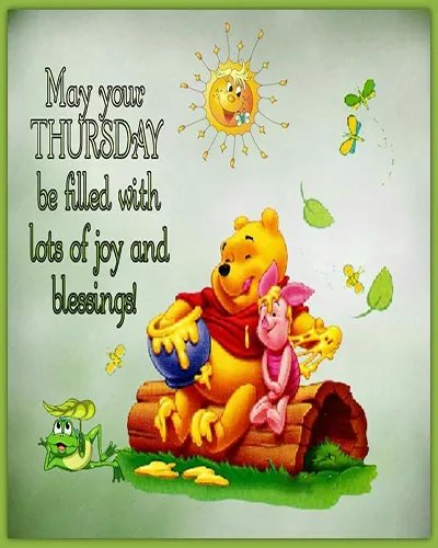 Everyday Greetings Greeting Cards 25003