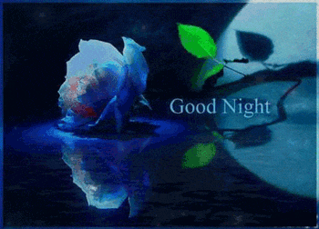 Good Night Greetings Greeting Cards 9201