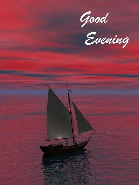 Good Evening Greetings Greeting Cards 8846