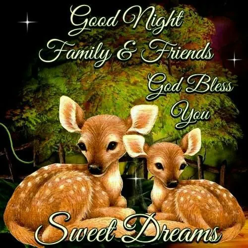 Good Night Greetings Greeting Cards 25840