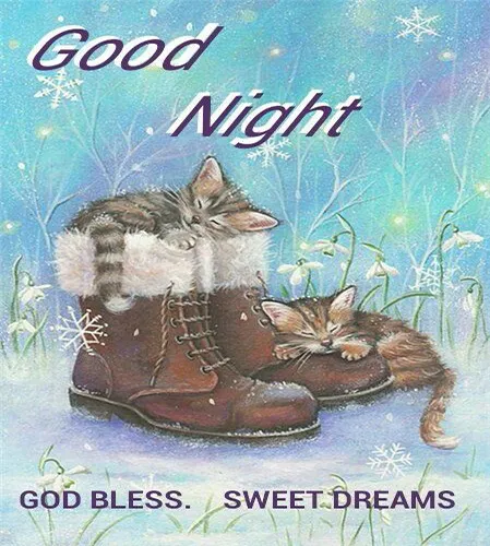 Good Night Greetings Greeting Cards 25837