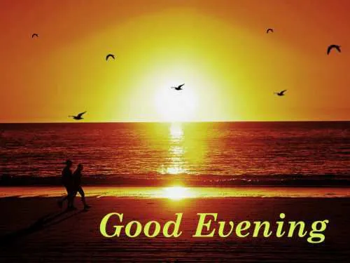 Good Evening Greetings Greeting Cards 9044