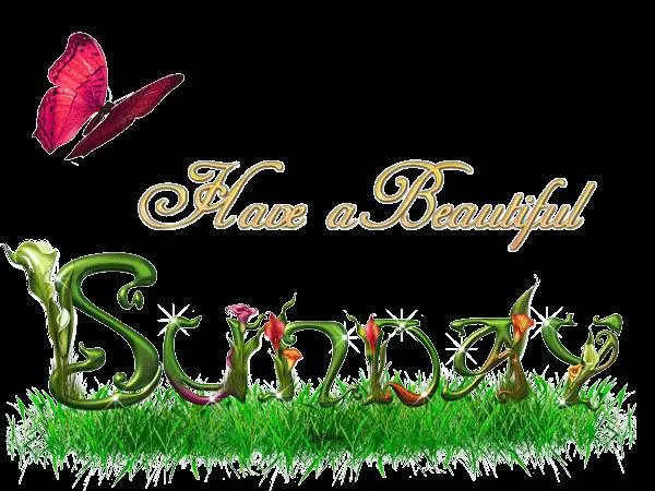 Sunday Greetings Greeting Cards 10163