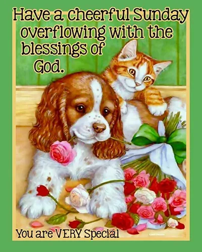 Everyday Greetings Greeting Cards 24197