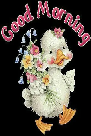 Good Morning Wishes Greeting Cards 25654