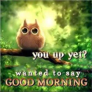 Good Morning Wishes Greeting Cards 6897
