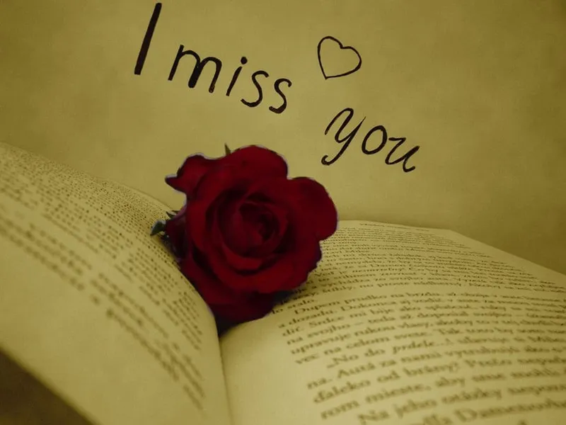 I Miss You Greetings Greeting Cards 13707