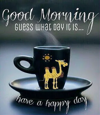 Good Morning Wishes Greeting Cards 25539