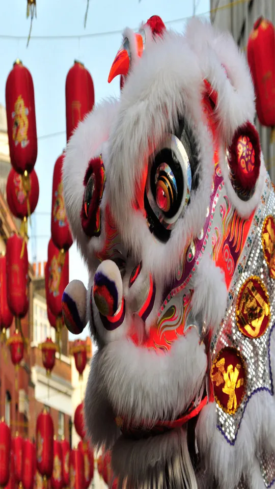 Chinese New Year Greeting Cards 71254