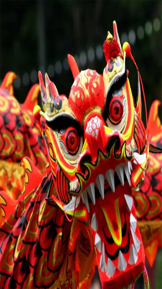 Chinese New Year Greeting Cards 71266