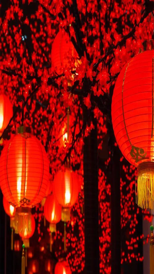 Chinese New Year Greeting Cards 71248