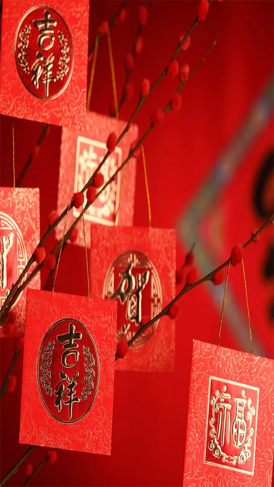 Chinese New Year Greeting Cards 71300