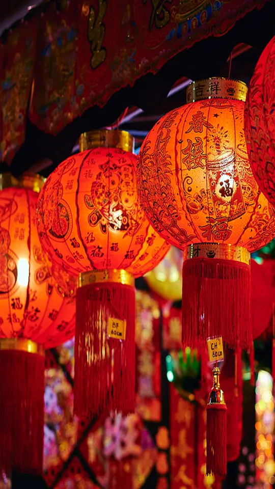 Chinese New Year Greeting Cards 71302