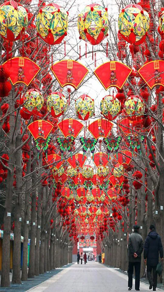 Chinese New Year Greeting Cards 71310
