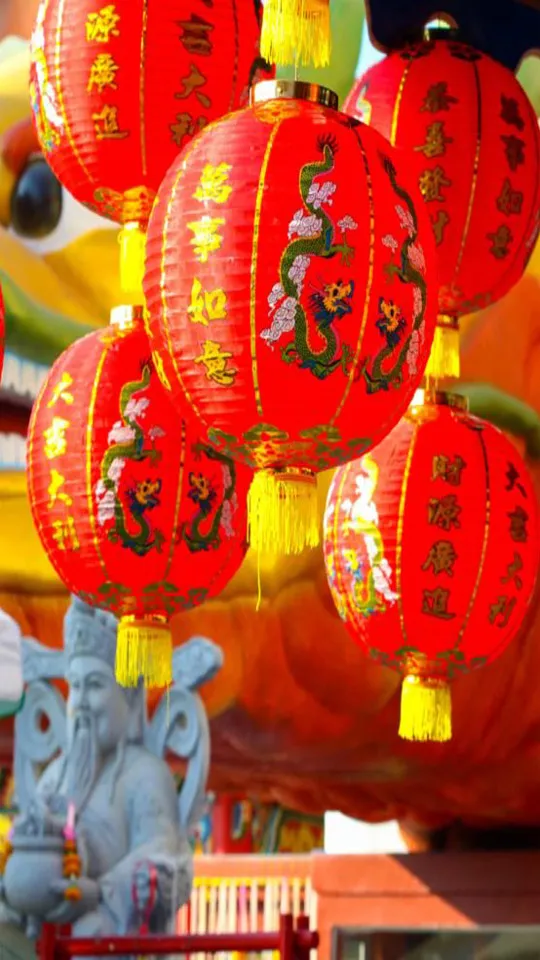 Chinese New Year Greeting Cards 71303