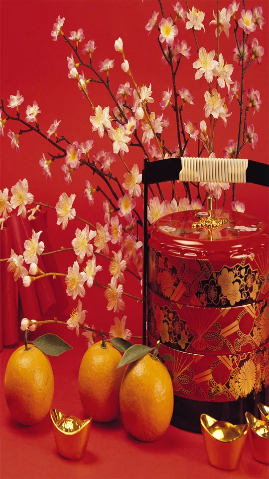 Chinese New Year Greeting Cards 71329