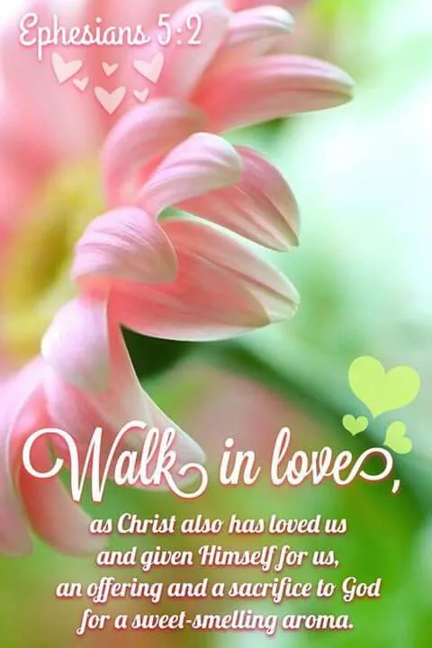 Bible Verses Greetings Greeting Cards 19024