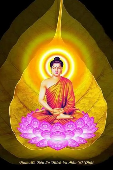 Buddha Purnima Greeting Cards 61486