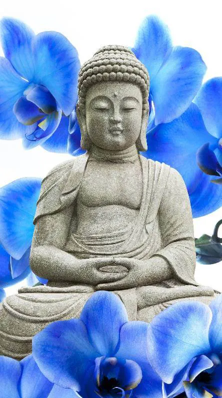 Buddha Purnima Greeting Cards 61494