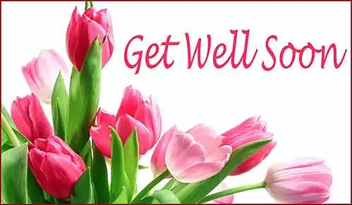 Get Well Soon Greetings Greeting Cards 50250