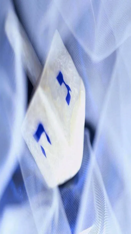 Hanukkah Greeting Cards 51351