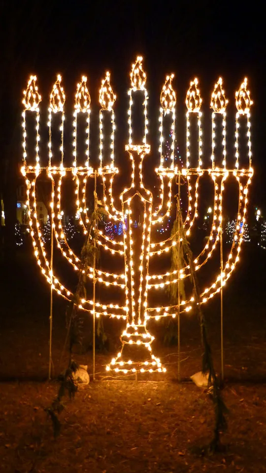 Hanukkah Greeting Cards 51300