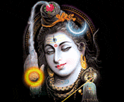 Mahashivratri Greeting Cards 54040