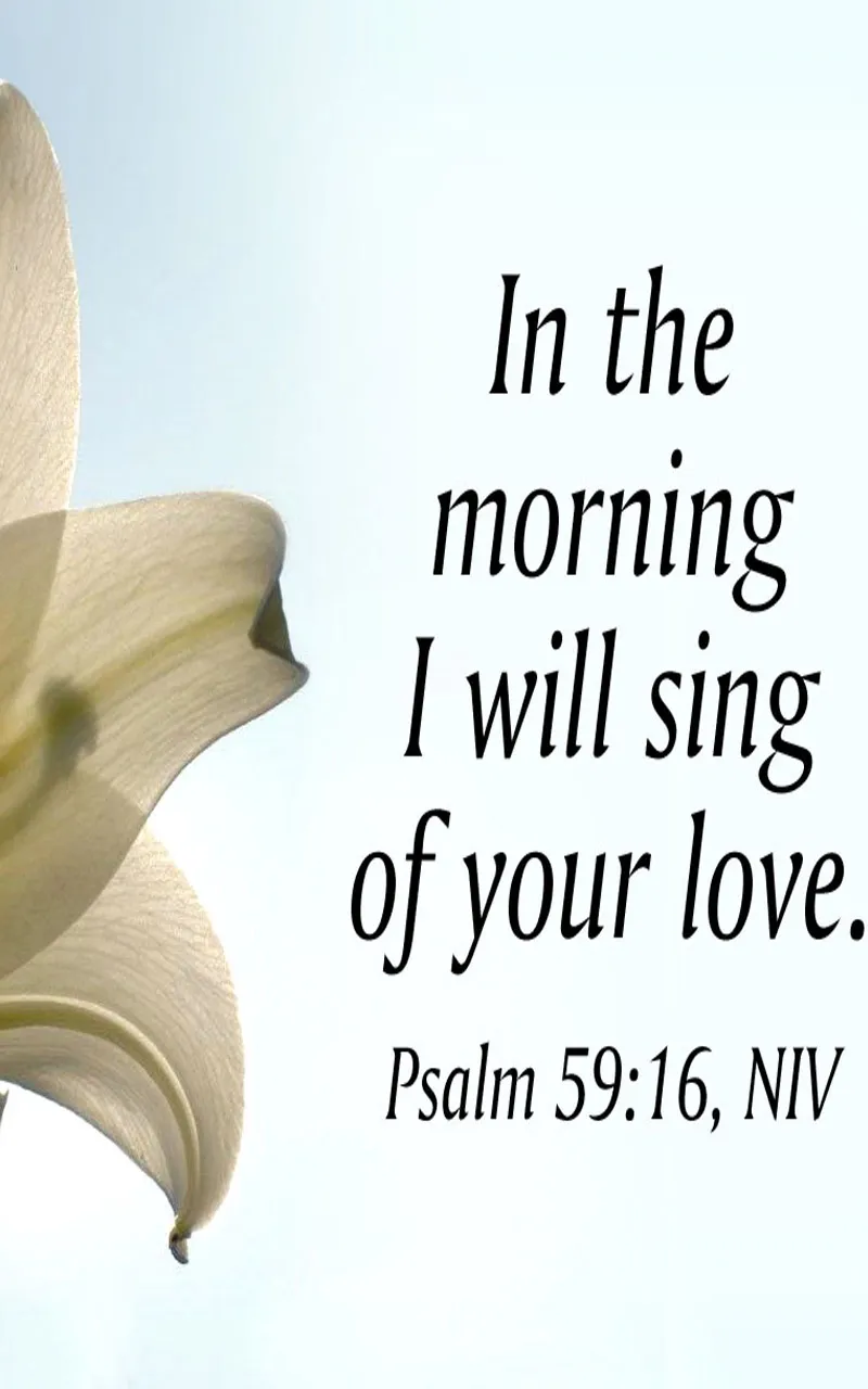 Bible Verses Greetings Greeting Cards 22201