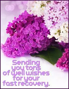 Get Well Soon Greetings Greeting Cards 50465