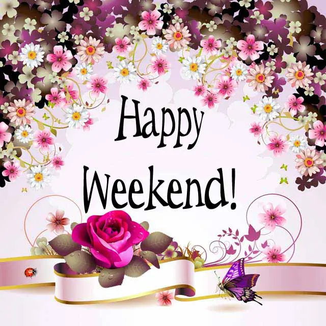 Weekend Greetings Greeting Cards 50618
