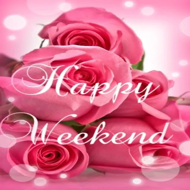 Weekend Greetings Greeting Cards 50617
