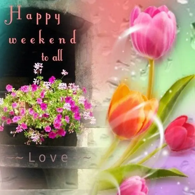 Weekend Greetings Greeting Cards 50629