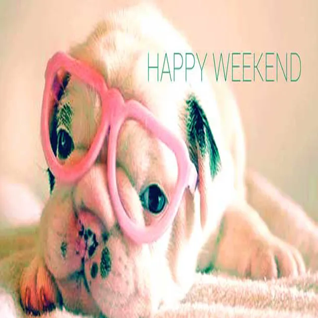 Weekend Greetings Greeting Cards 50631