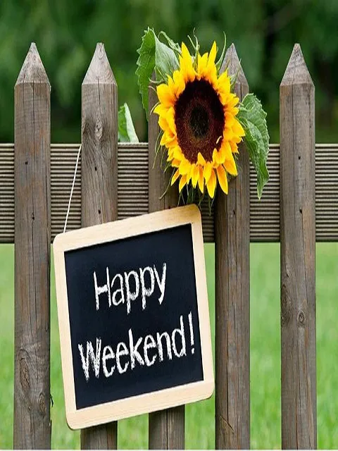 Weekend Greetings Greeting Cards 50556