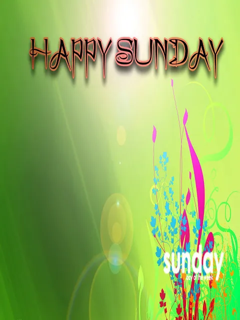 Weekend Greetings Greeting Cards 50563