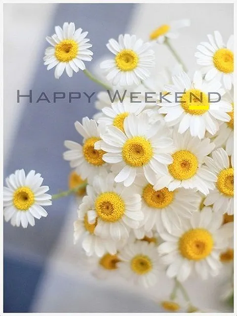 Weekend Greetings Greeting Cards 50562