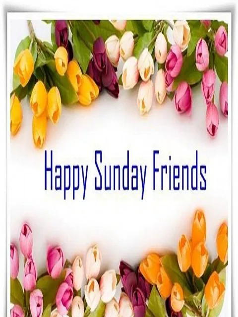 Weekend Greetings Greeting Cards 50565