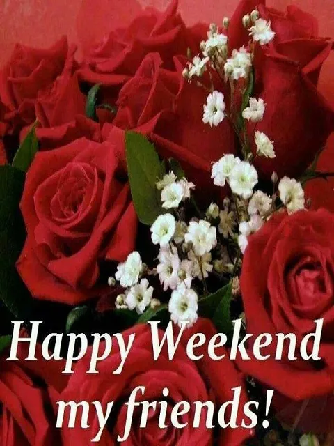 Weekend Greetings Greeting Cards 50550