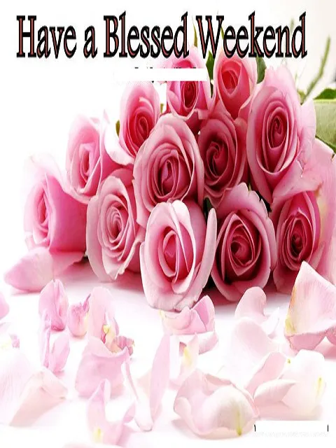 Weekend Greetings Greeting Cards 50566