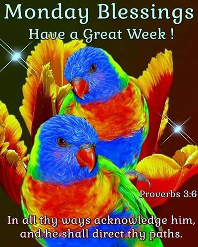 Bible Verses Greetings Greeting Cards 18586