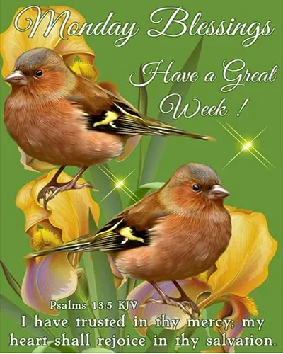Bible Verses Greetings Greeting Cards 18605