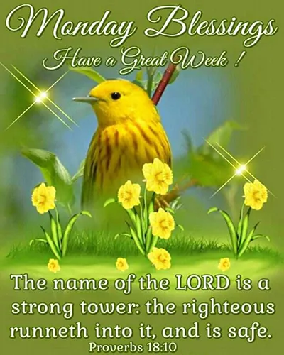 Bible Verses Greetings Greeting Cards 18601