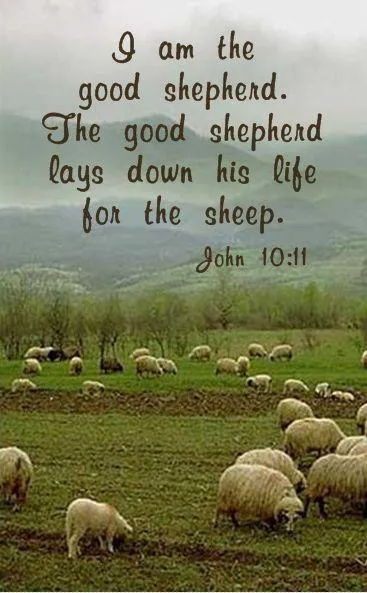 Bible Verses Greetings Greeting Cards 22316