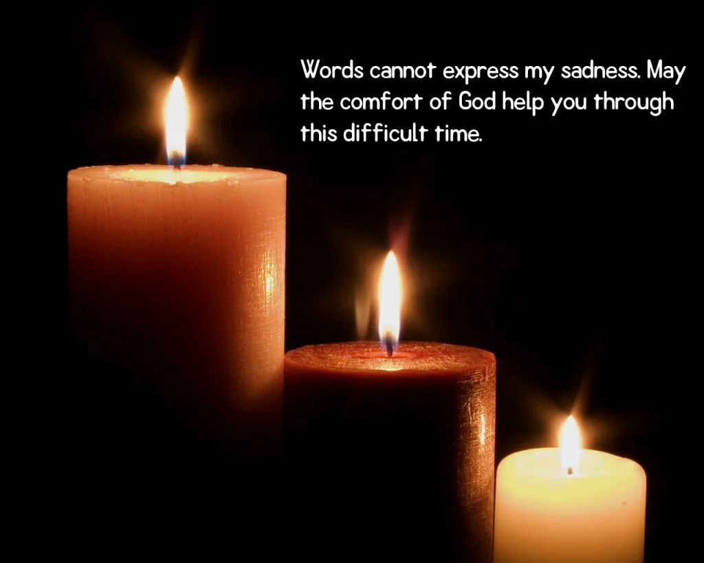 Sympathy Greetings Greeting Cards 50093