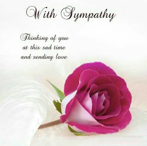 Sympathy Greetings Greeting Cards 50101