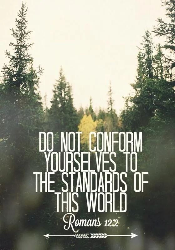 Bible Verses Greetings Greeting Cards 22301