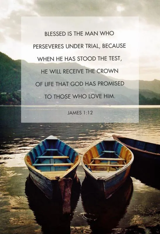 Bible Verses Greetings Greeting Cards 22302