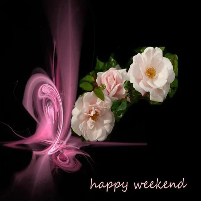 Weekend Greetings Greeting Cards 50639