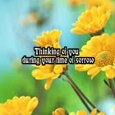 Sympathy Greetings Greeting Cards 50138