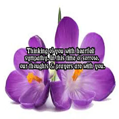 Sympathy Greetings Greeting Cards 50130